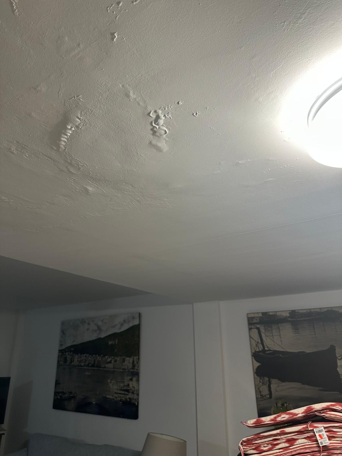 Dégâts des eaux au plafond