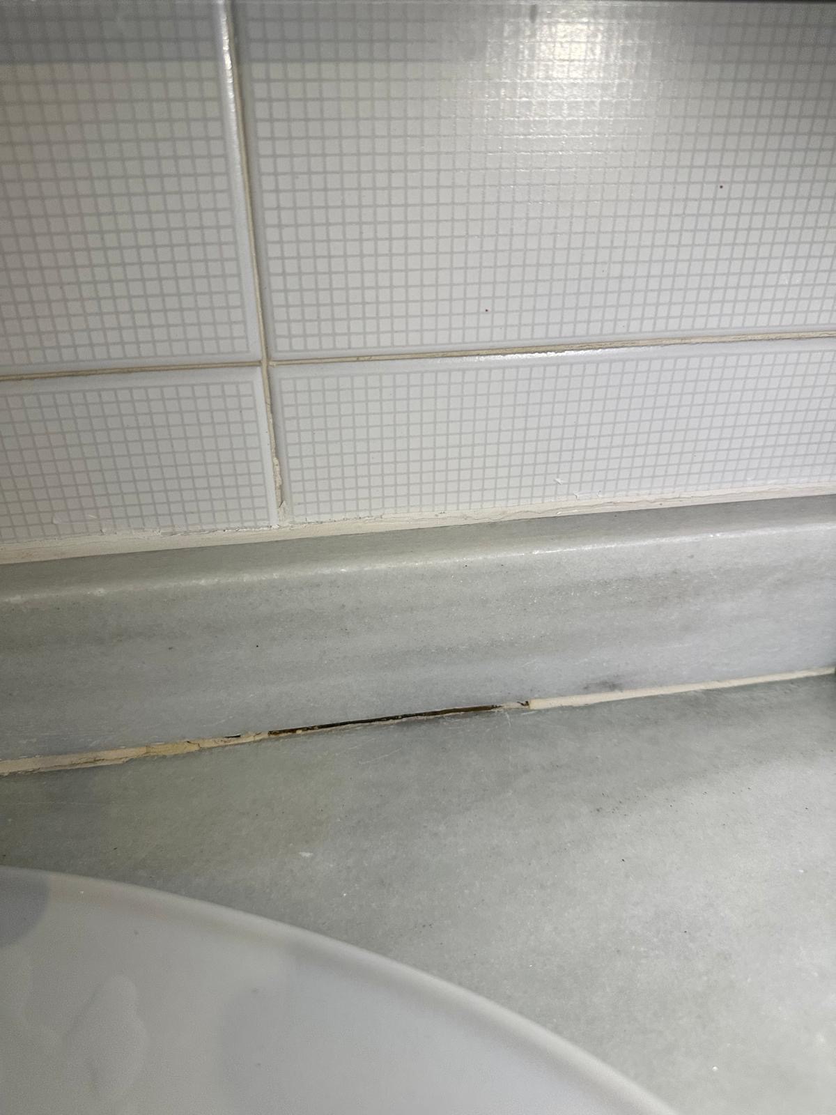 Salle de bain moisie