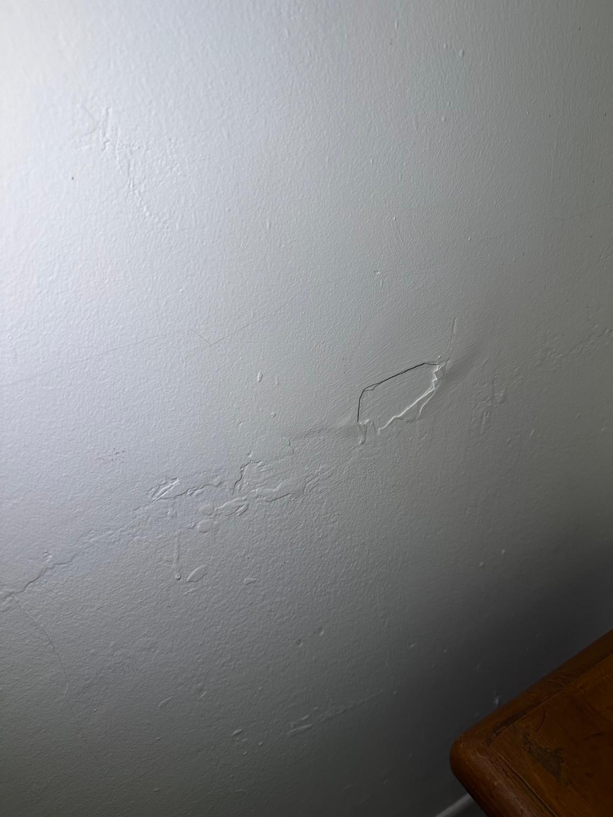 Fissures dans les murs